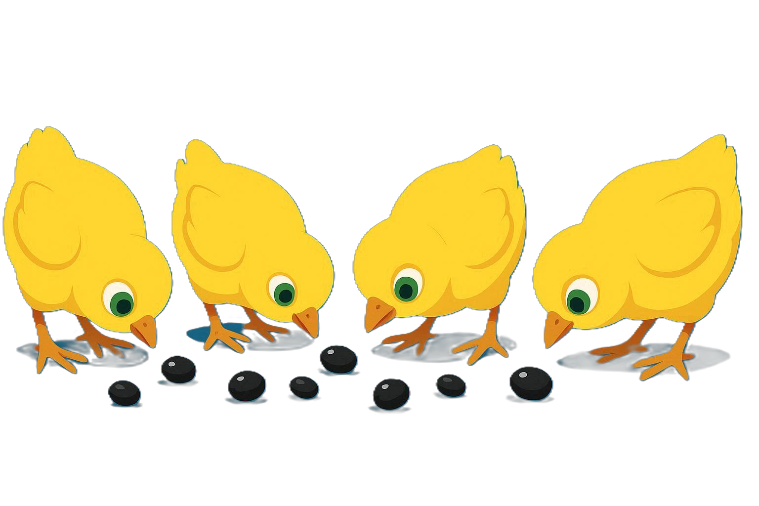 Pintinhos filhos da Esmeralda